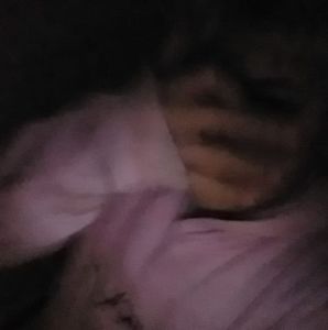 Meet your Posher, Winston